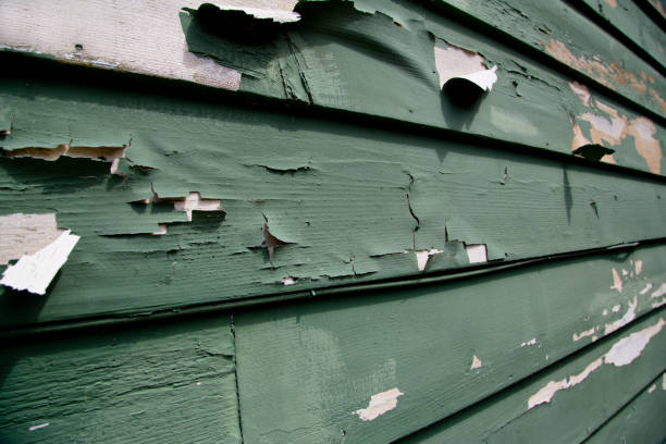 Best Engineered Wood Siding  in Berlin, WI